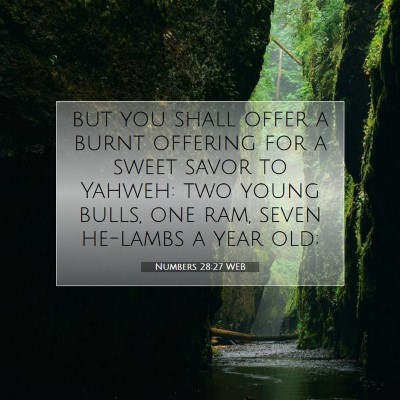 Picture 07 - Numbers 28:27 WEB - but you shall offer a burnt offering for a sweet - Bible Verse Picture