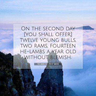 Picture 07 - Numbers 29:17 WEB - On the second day [you shall offer] twelve young - Bible Verse Picture