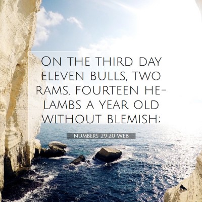 Picture 07 - Numbers 29:20 WEB - On the third day eleven bulls, two rams, fourteen - Bible Verse Picture