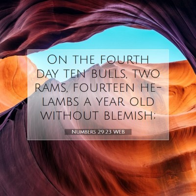 Picture 07 - Numbers 29:23 WEB - On the fourth day ten bulls, two rams, fourteen - Bible Verse Picture