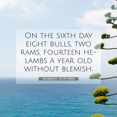 Picture 07 - Numbers 29:29 WEB - On the sixth day eight bulls, two rams, fourteen - Bible Verse Picture
