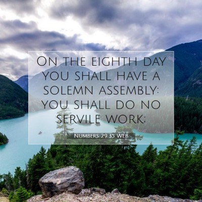 Picture 07 - Numbers 29:35 WEB - On the eighth day you shall have a solemn - Bible Verse Picture