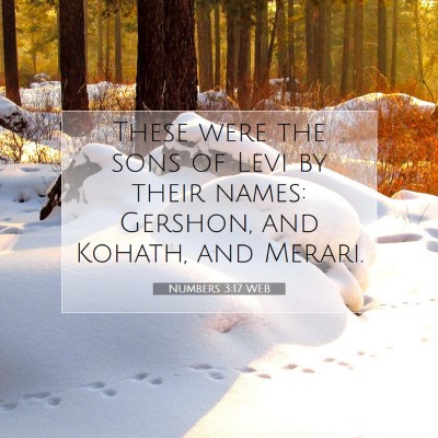 Picture 07 - Numbers 3:17 WEB - These were the sons of Levi by their names: - Bible Verse Picture