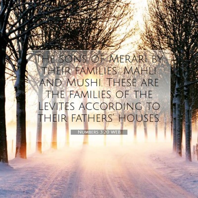 Picture 07 - Numbers 3:20 WEB - The sons of Merari by their families: Mahli and - Bible Verse Picture