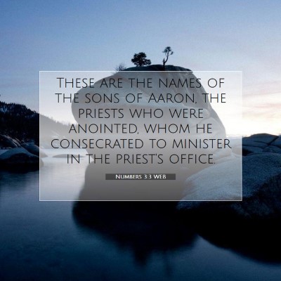 Picture 07 - Numbers 3:3 WEB - These are the names of the sons of Aaron, the - Bible Verse Picture