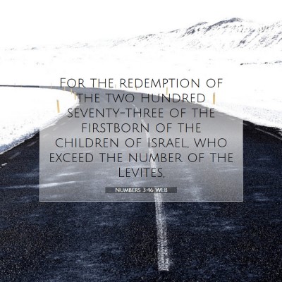 Picture 07 - Numbers 3:46 WEB - For the redemption of the two hundred - Bible Verse Picture
