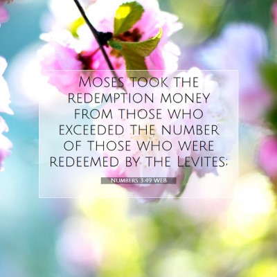 Picture 07 - Numbers 3:49 WEB - Moses took the redemption money from those who - Bible Verse Picture