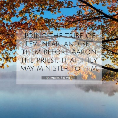 Picture 07 - Numbers 3:6 WEB - 