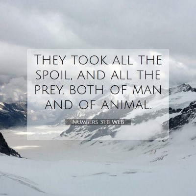 Picture 07 - Numbers 31:11 WEB - They took all the spoil, and all the prey, both - Bible Verse Picture