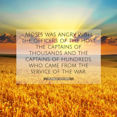 Picture 07 - Numbers 31:14 WEB - Moses was angry with the officers of the host, - Bible Verse Picture