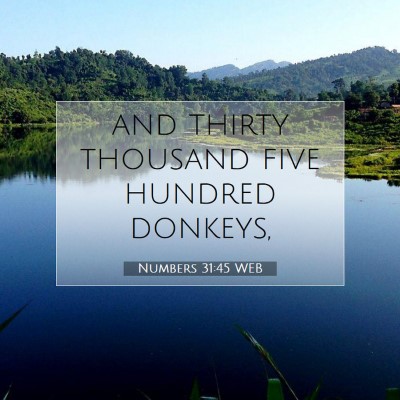 Picture 07 - Numbers 31:45 WEB - and thirty thousand five hundred - Bible Verse Picture
