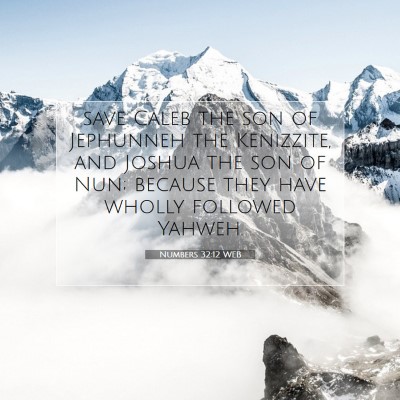Picture 07 - Numbers 32:12 WEB - save Caleb the son of Jephunneh the Kenizzite, - Bible Verse Picture