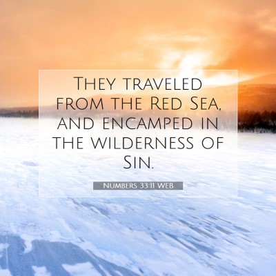 Picture 07 - Numbers 33:11 WEB - They traveled from the Red Sea, and encamped in - Bible Verse Picture
