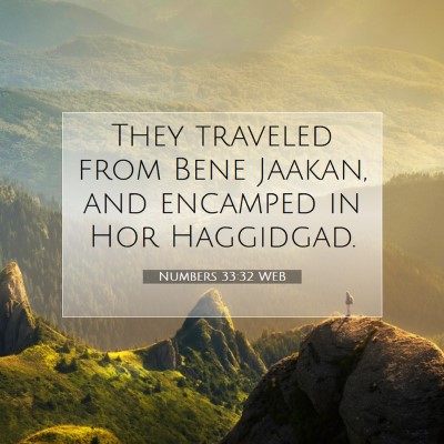 Picture 07 - Numbers 33:32 WEB - They traveled from Bene Jaakan, and encamped in - Bible Verse Picture