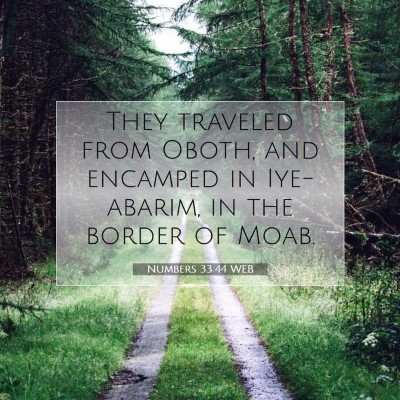 Picture 07 - Numbers 33:44 WEB - They traveled from Oboth, and encamped in - Bible Verse Picture