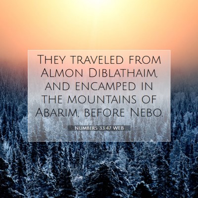 Picture 07 - Numbers 33:47 WEB - They traveled from Almon Diblathaim, and encamped - Bible Verse Picture
