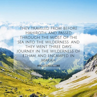 Picture 07 - Numbers 33:8 WEB - They traveled from before Hahiroth, and passed - Bible Verse Picture
