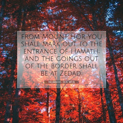 Picture 07 - Numbers 34:8 WEB - from Mount Hor you shall mark out to the entrance - Bible Verse Picture