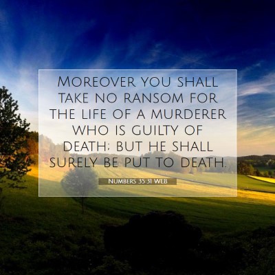 Picture 07 - Numbers 35:31 WEB - Moreover you shall take no ransom for the life of - Bible Verse Picture