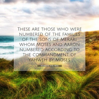 Picture 07 - Numbers 4:45 WEB - These are those who were numbered of the families - Bible Verse Picture