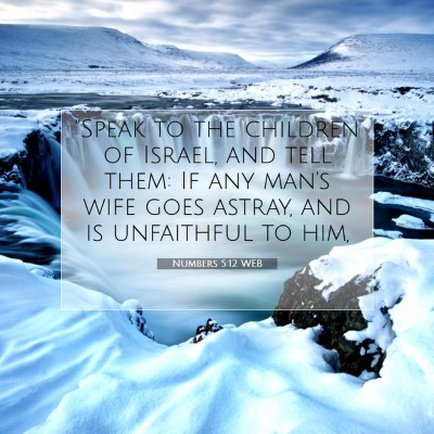Picture 07 - Numbers 5:12 WEB - 