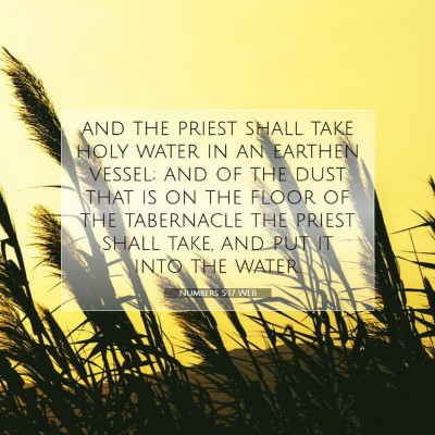 Picture 07 - Numbers 5:17 WEB - and the priest shall take holy water in an - Bible Verse Picture