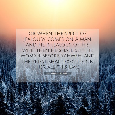 Picture 07 - Numbers 5:30 WEB - or when the spirit of jealousy comes on a man, - Bible Verse Picture