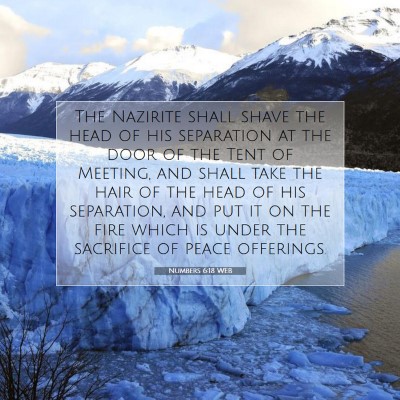 Picture 07 - Numbers 6:18 WEB - The Nazirite shall shave the head of his - Bible Verse Picture