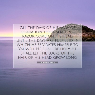 Picture 07 - Numbers 6:5 WEB - 