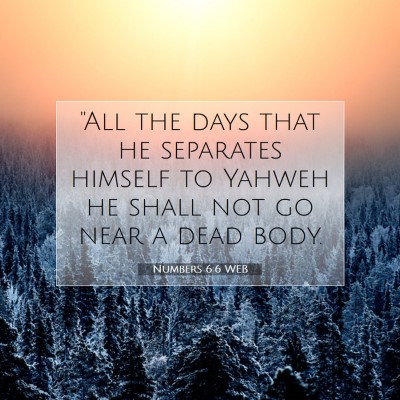 Picture 07 - Numbers 6:6 WEB - 