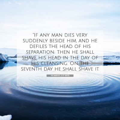 Picture 07 - Numbers 6:9 WEB - 