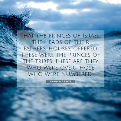 Picture 07 - Numbers 7:2 WEB - that the princes of Israel, the heads of their - Bible Verse Picture
