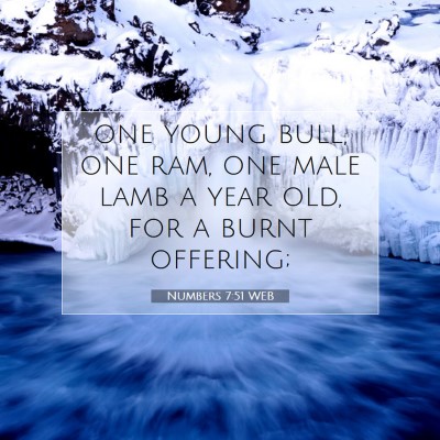 Picture 07 - Numbers 7:51 WEB - one young bull, one ram, one male lamb a year - Bible Verse Picture