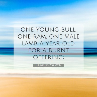 Picture 07 - Numbers 7:57 WEB - one young bull, one ram, one male lamb a year - Bible Verse Picture