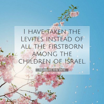Picture 07 - Numbers 8:18 WEB - I have taken the Levites instead of all the - Bible Verse Picture