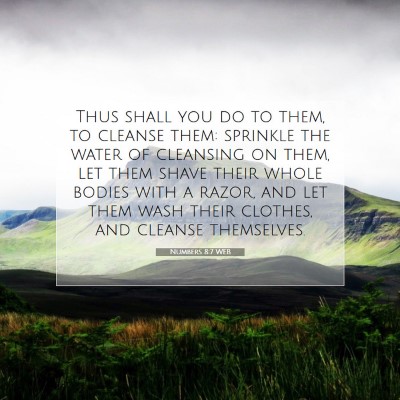 Picture 07 - Numbers 8:7 WEB - Thus shall you do to them, to cleanse them: - Bible Verse Picture