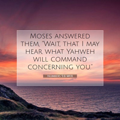 Picture 07 - Numbers 9:8 WEB - Moses answered them, 