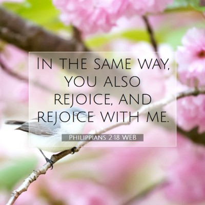 Picture 07 - Philippians 2:18 WEB - In the same way, you also rejoice, and rejoice - Bible Verse Picture