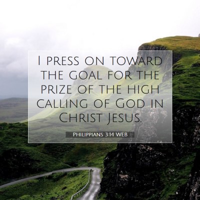 Picture 07 - Philippians 3:14 WEB - I press on toward the goal for the prize of the - Bible Verse Picture