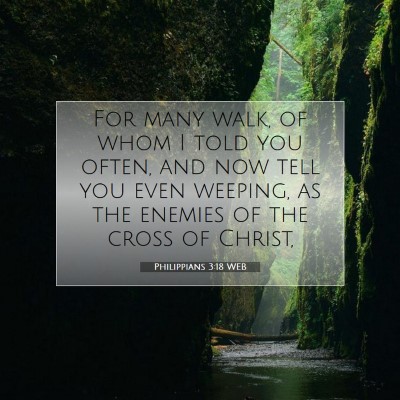 Picture 07 - Philippians 3:18 WEB - For many walk, of whom I told you often, and now - Bible Verse Picture