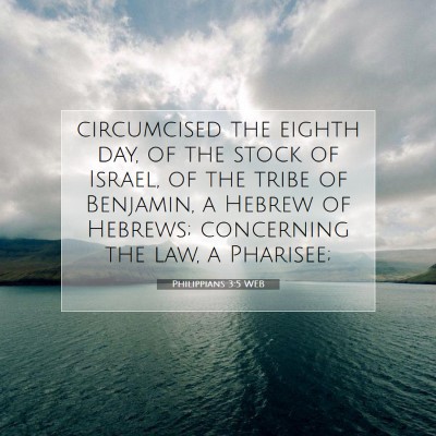 Picture 07 - Philippians 3:5 WEB - circumcised the eighth day, of the stock of - Bible Verse Picture