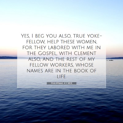 Picture 07 - Philippians 4:3 WEB - Yes, I beg you also, true yoke-fellow, help these - Bible Verse Picture