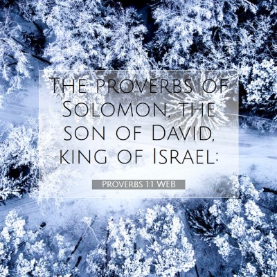 Picture 07 - Proverbs 1:1 WEB - The proverbs of Solomon, the son of David, king - Bible Verse Picture