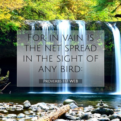 Picture 07 - Proverbs 1:17 WEB - For in vain is the net spread in the sight of any - Bible Verse Picture