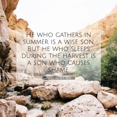 Picture 07 - Proverbs 10:5 WEB - He who gathers in summer is a wise son, But he - Bible Verse Picture