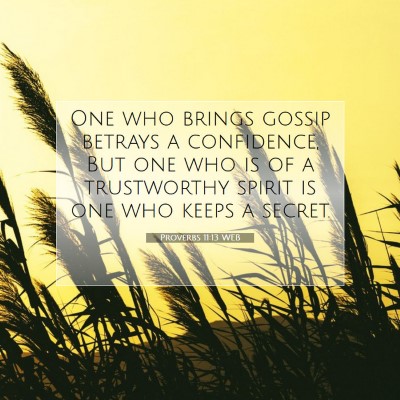 Picture 07 - Proverbs 11:13 WEB - One who brings gossip betrays a confidence, But - Bible Verse Picture