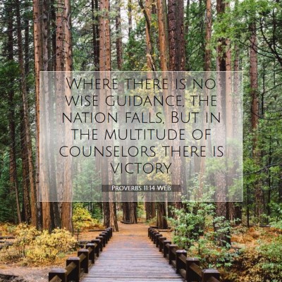 Picture 07 - Proverbs 11:14 WEB - Where there is no wise guidance, the nation - Bible Verse Picture