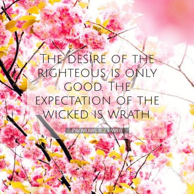 Picture 07 - Proverbs 11:23 WEB - The desire of the righteous is only good. The - Bible Verse Picture