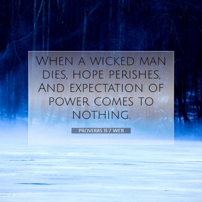 Picture 07 - Proverbs 11:7 WEB - When a wicked man dies, hope perishes, And - Bible Verse Picture