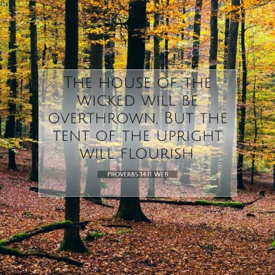 Picture 07 - Proverbs 14:11 WEB - The house of the wicked will be overthrown, But - Bible Verse Picture